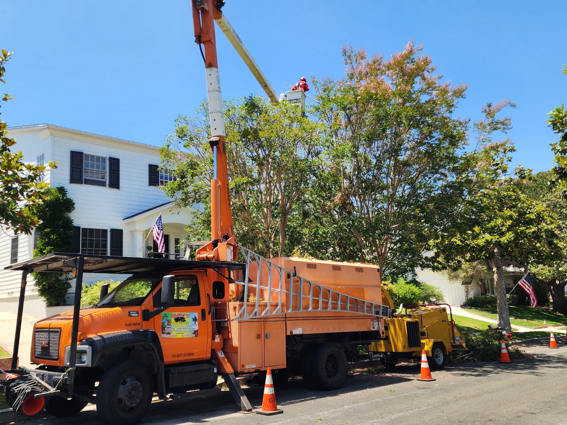 Residential tree trimming — Darry's crew on site